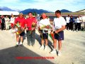Finalistes 4 D