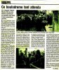 1999-Boulodrome Voreppe